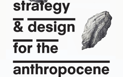 Master of Science : Strategy & Design for the Anthropocene